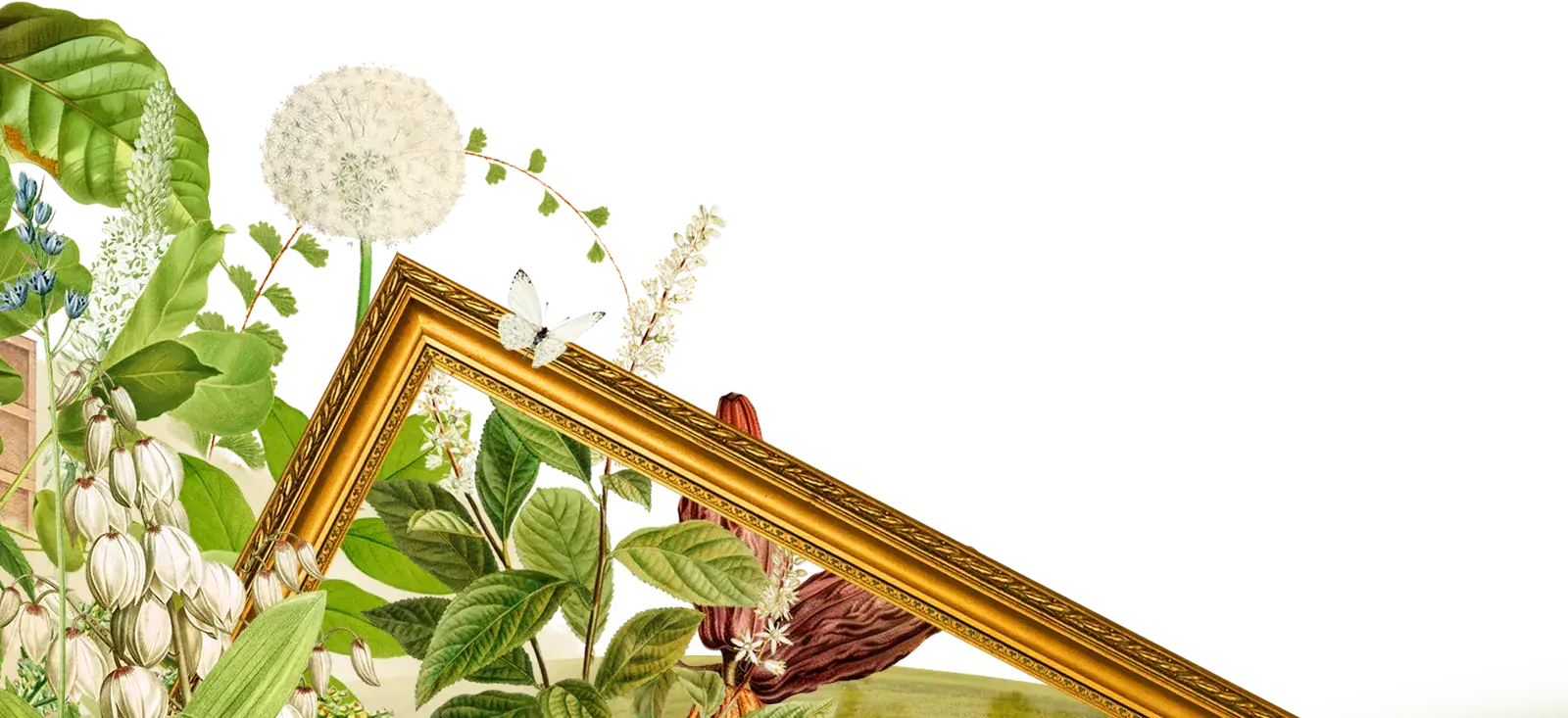 Bottom left decoration