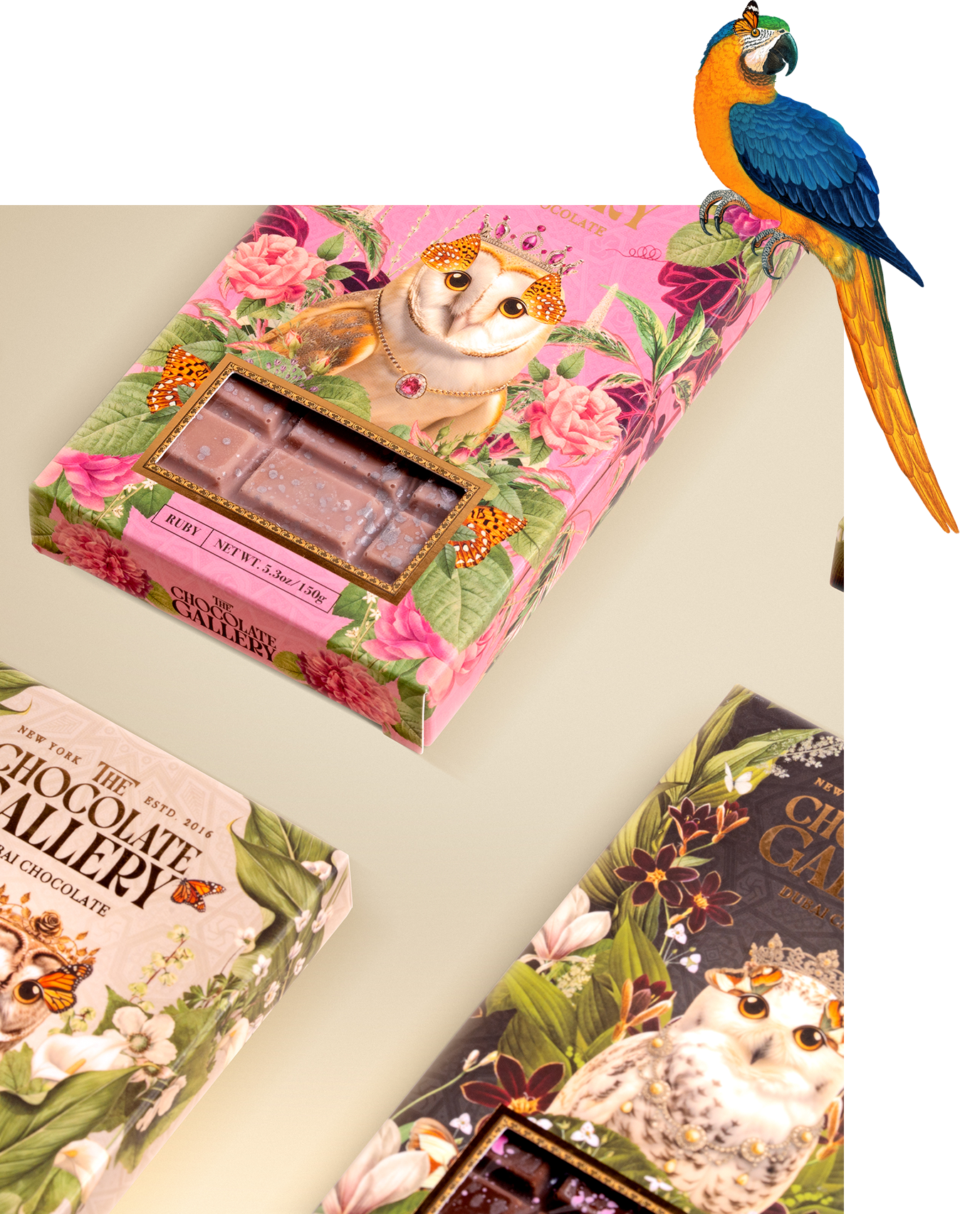 The Chocolate Gallery Artisan Chocolates