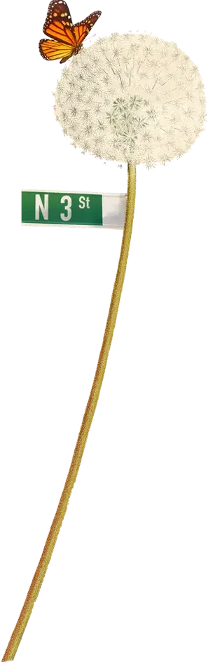 Decorative dandelion